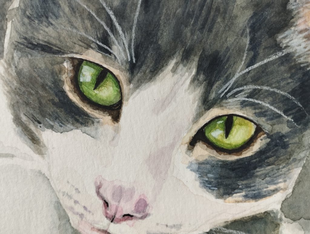 Gato – acuarela y técnica mixta (detalle 1), Al fresco! Creaciones (Murcia)
